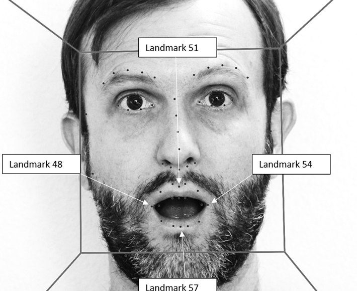 Face landmarks